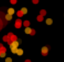 Screenshot 2026-06-01 8.10.39 AM.png