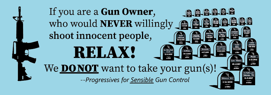 SensibleGunControl__905x318_cropped.png