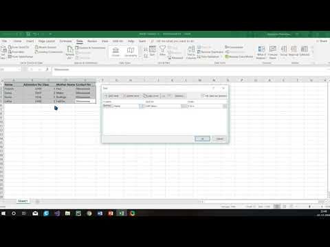 Sorting Data in MS Excel