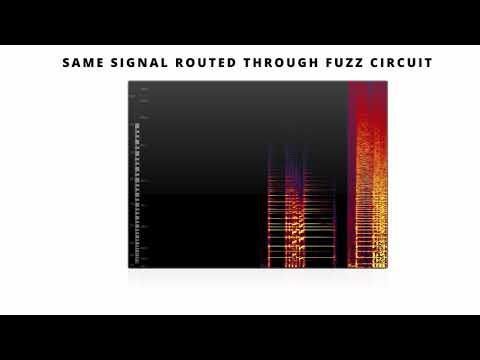 Spectrogram Video