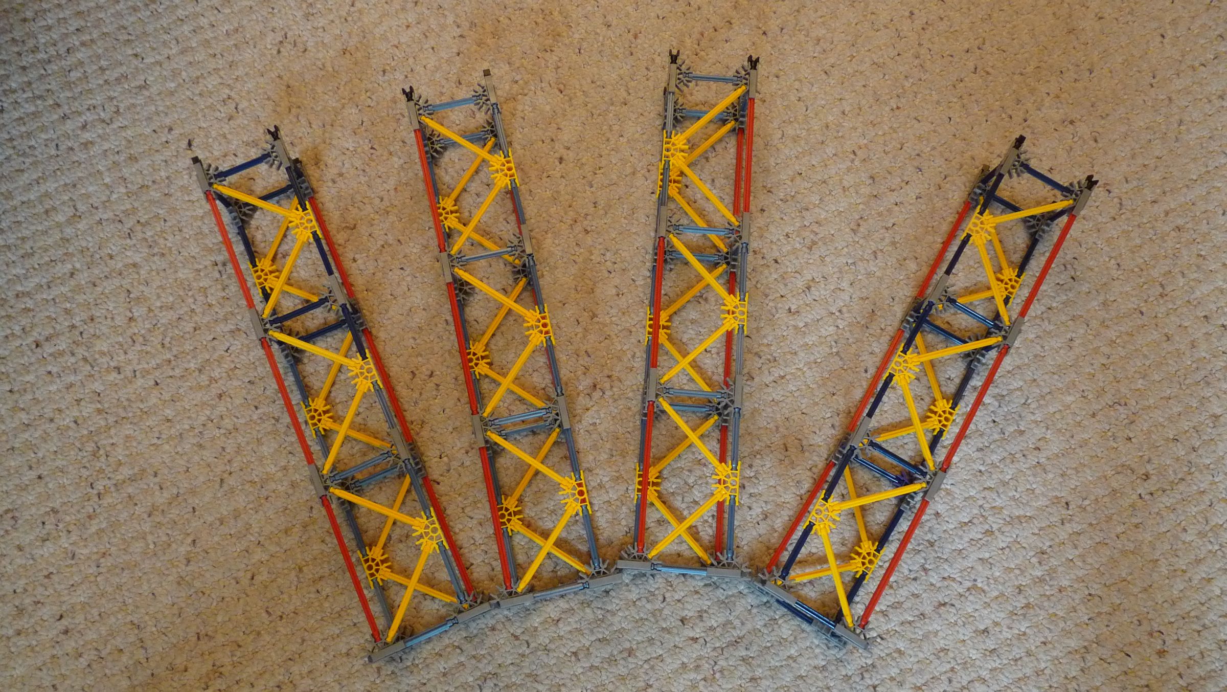 Spindley legs (1).JPG