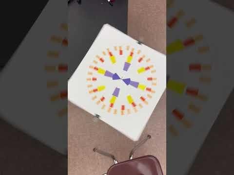 Spinster- The Optical Illusion