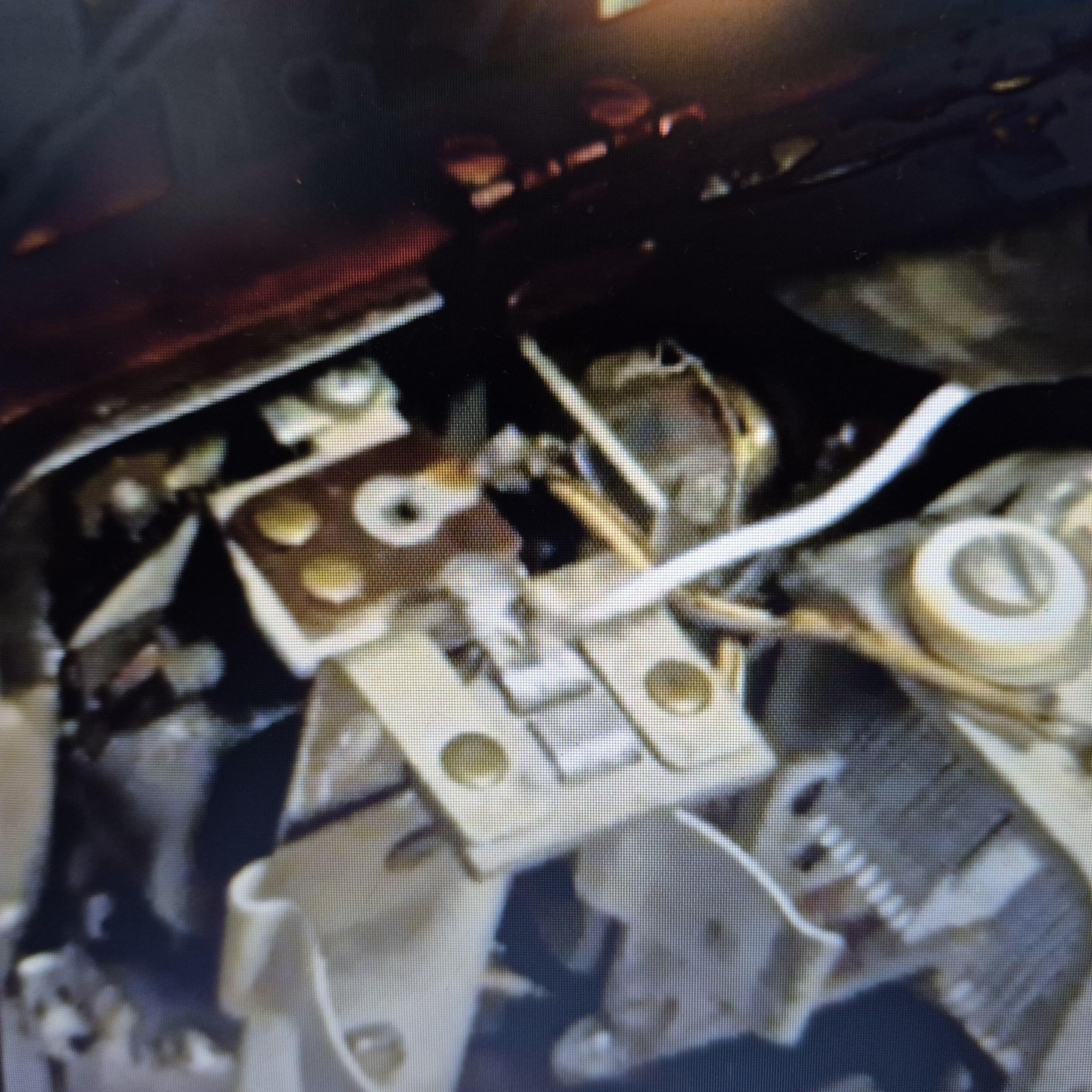 Start replacing rotten wire.jpg