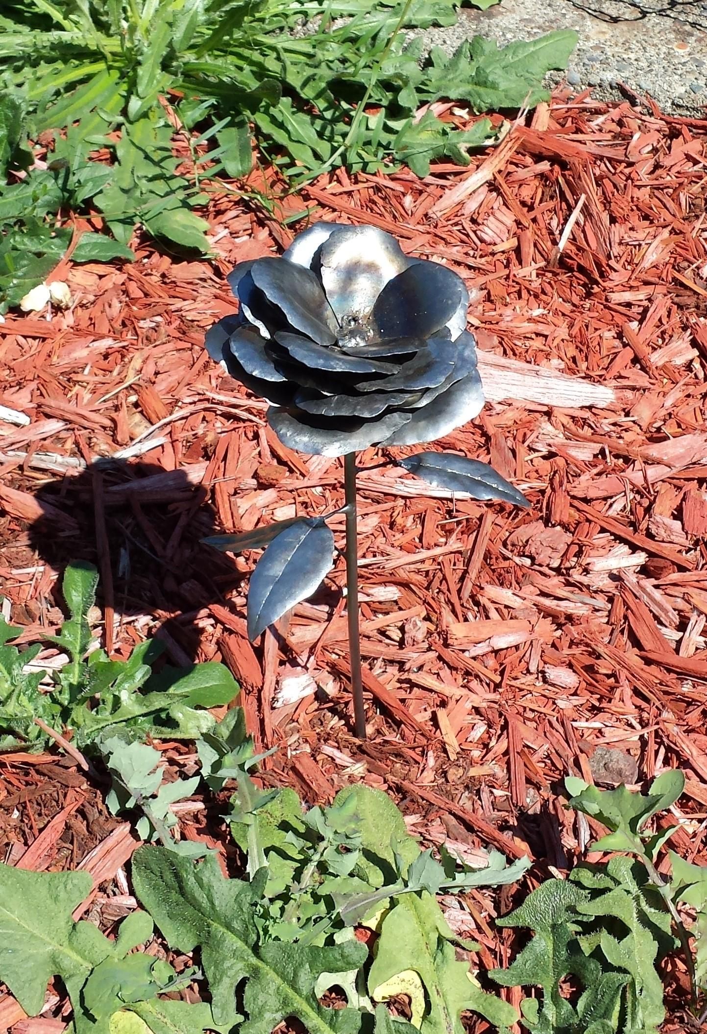 Steel Rose 2 2.jpg