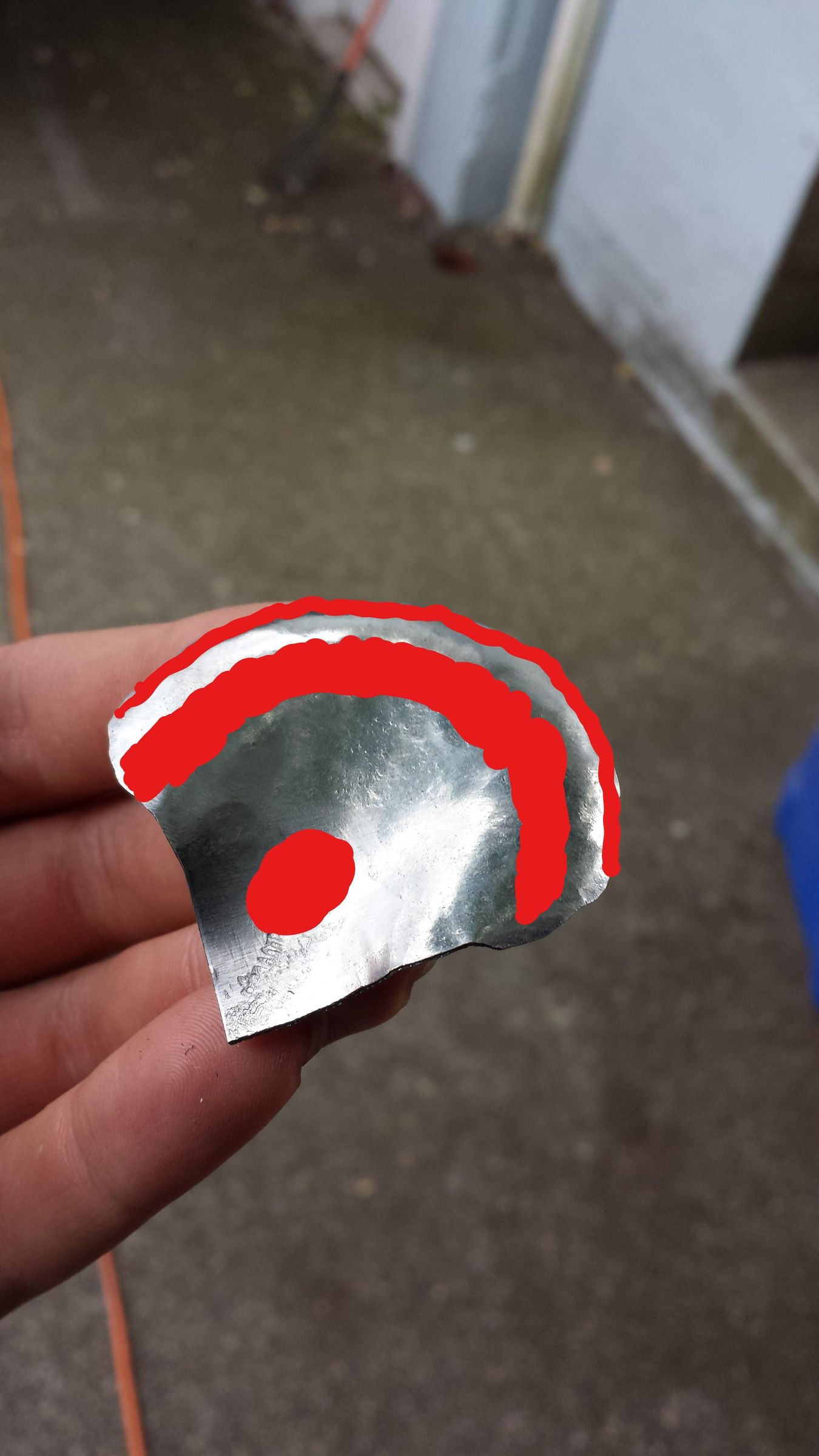Steel Rose Petal_LI.jpg