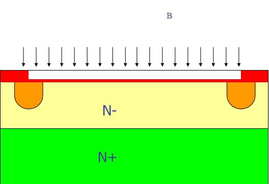 Step 11.jpg