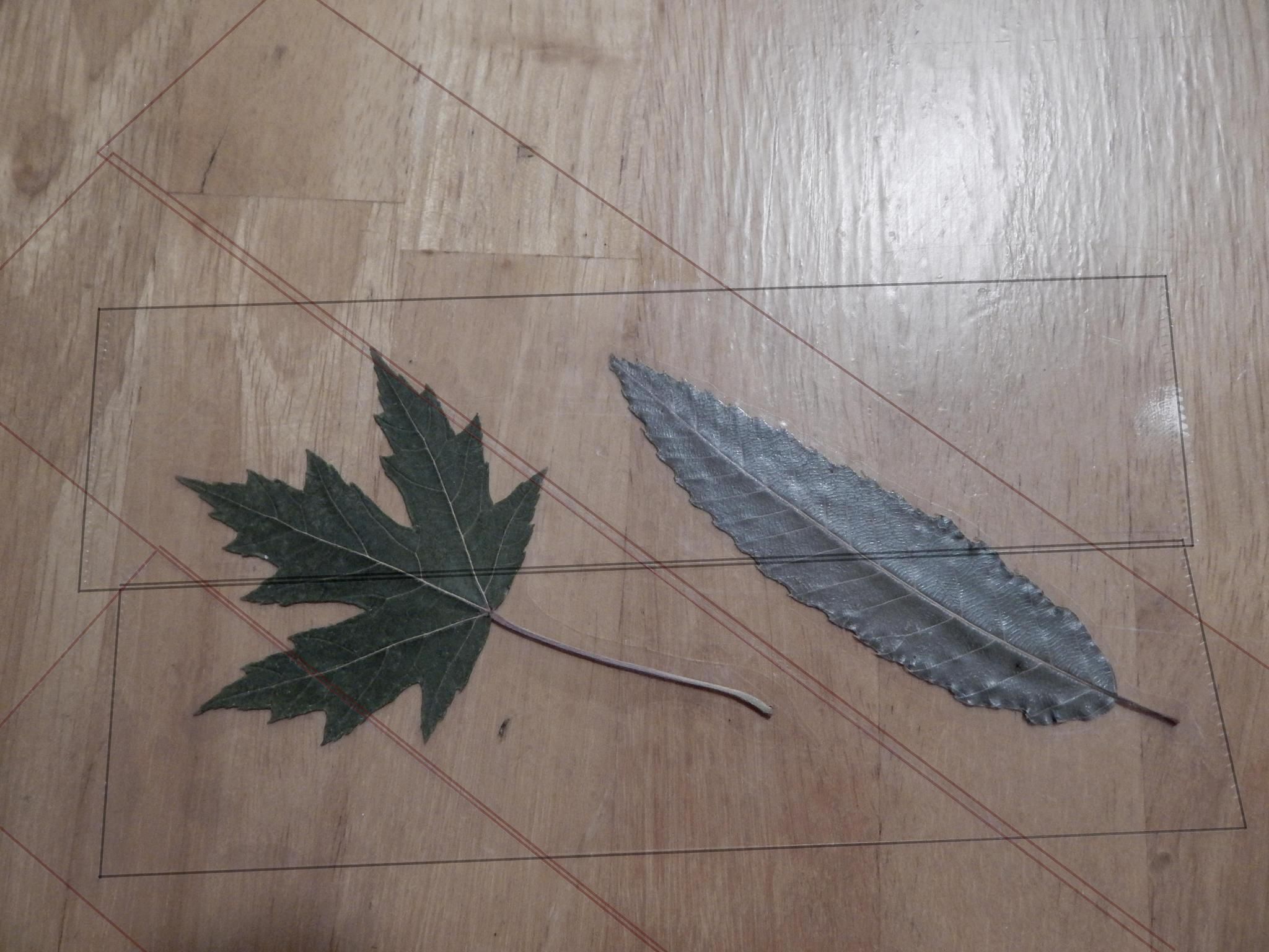 Step2_1.jpg