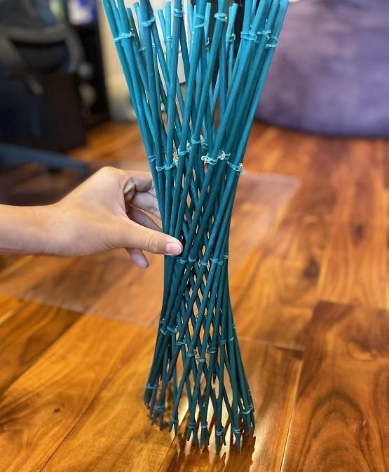 Step4 (3).JPG