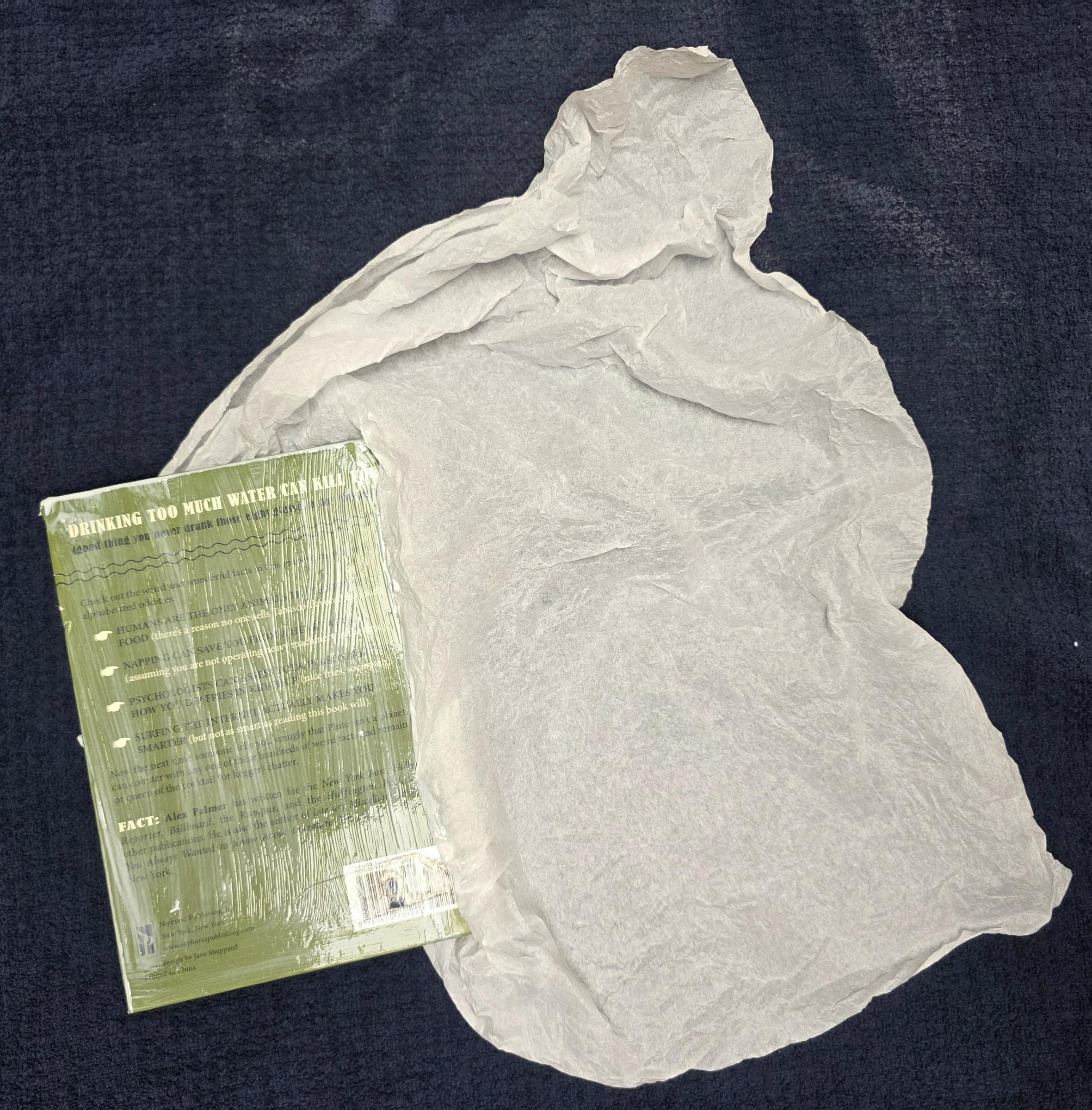 Step5back1.jpg