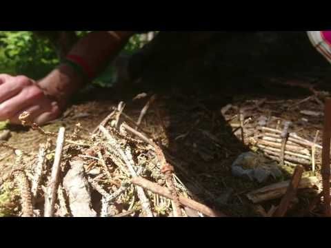 Survival Tips&amp;amp;Tricks: Miniature modeling
