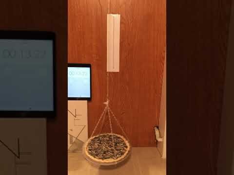 Swinging a Pie from a Pendulum to Calculate Pi!
