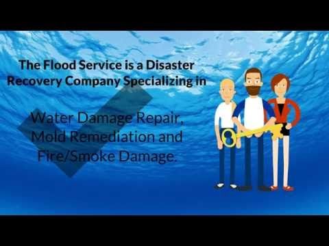 The Flood Service Video