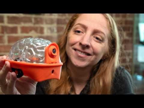 This Robot is a Brain