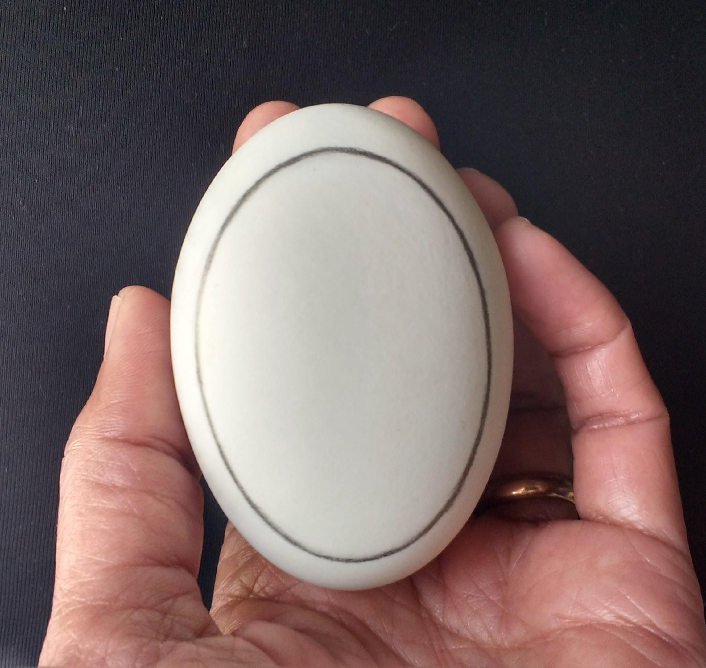 Traced Oval.jpg