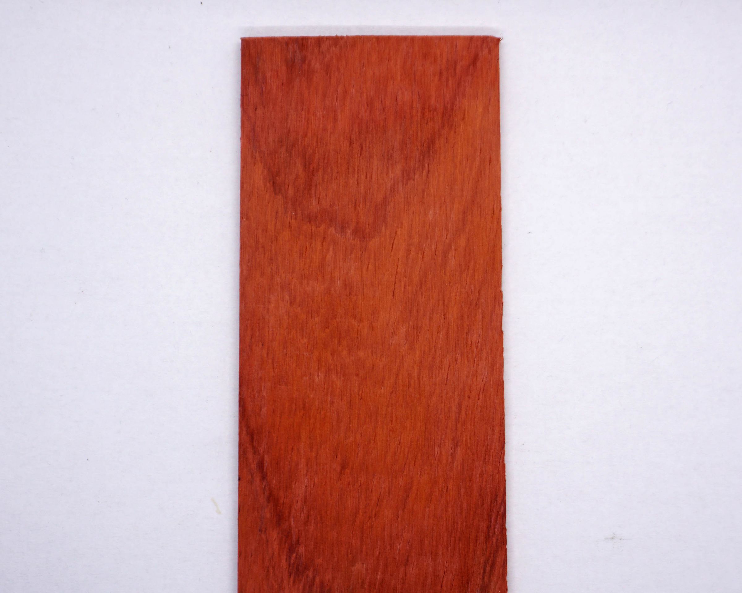 Untitled-1.jpg