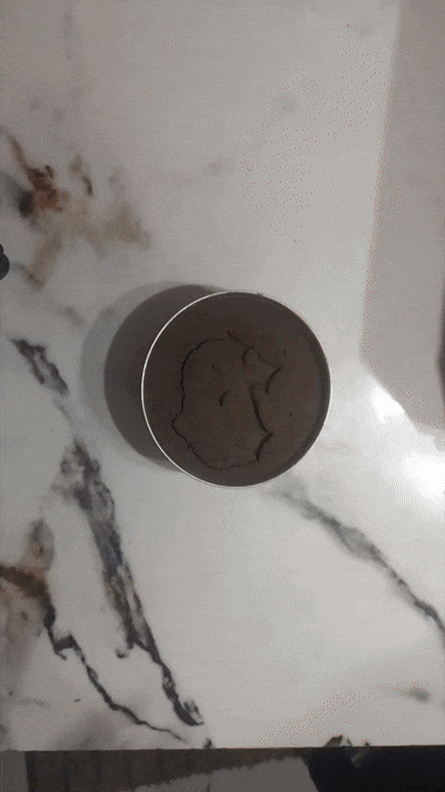 Video Project 10.gif