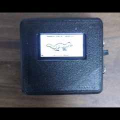 Video Project 51.gif