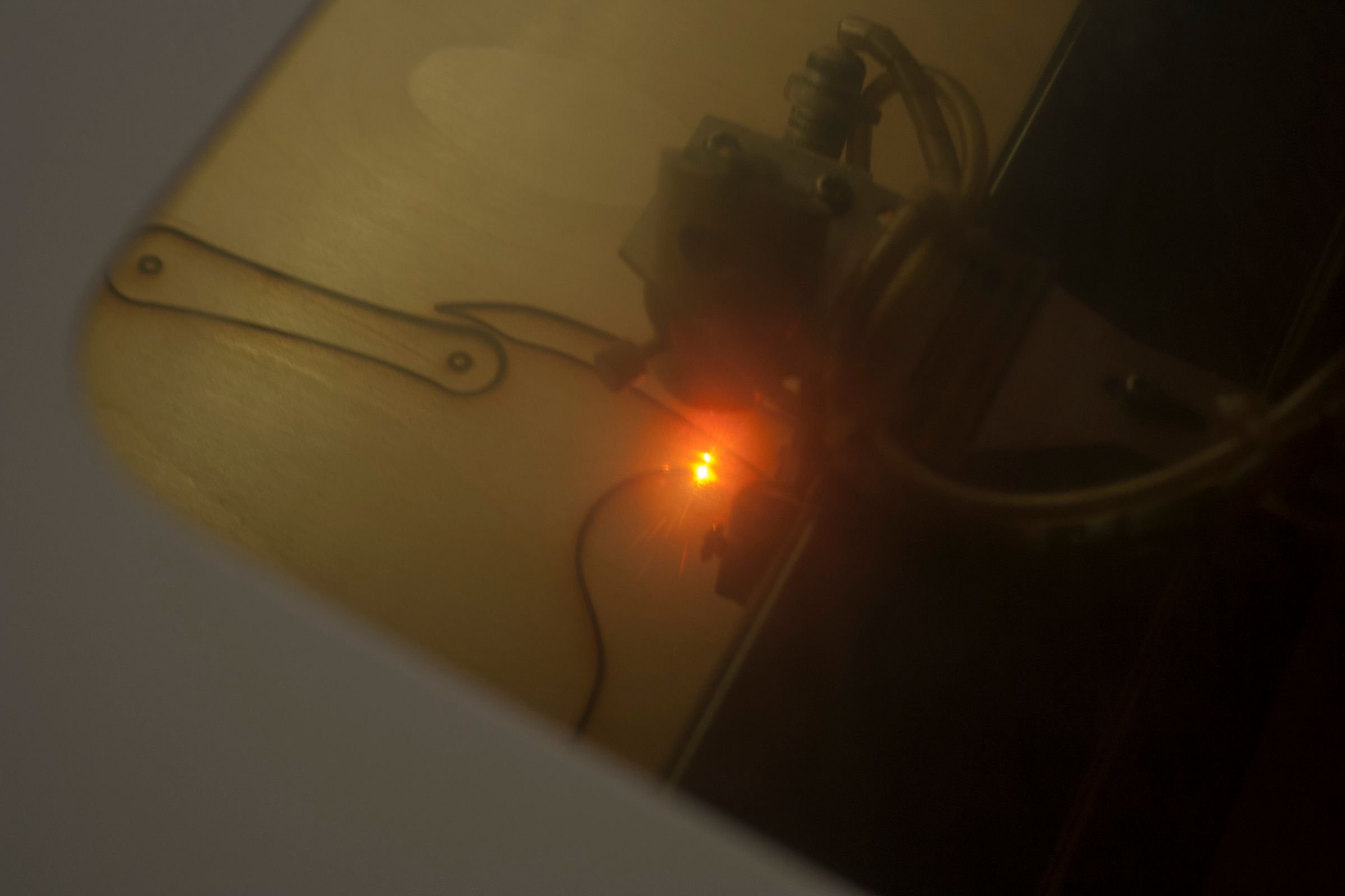 ViolinBeetle16.jpg