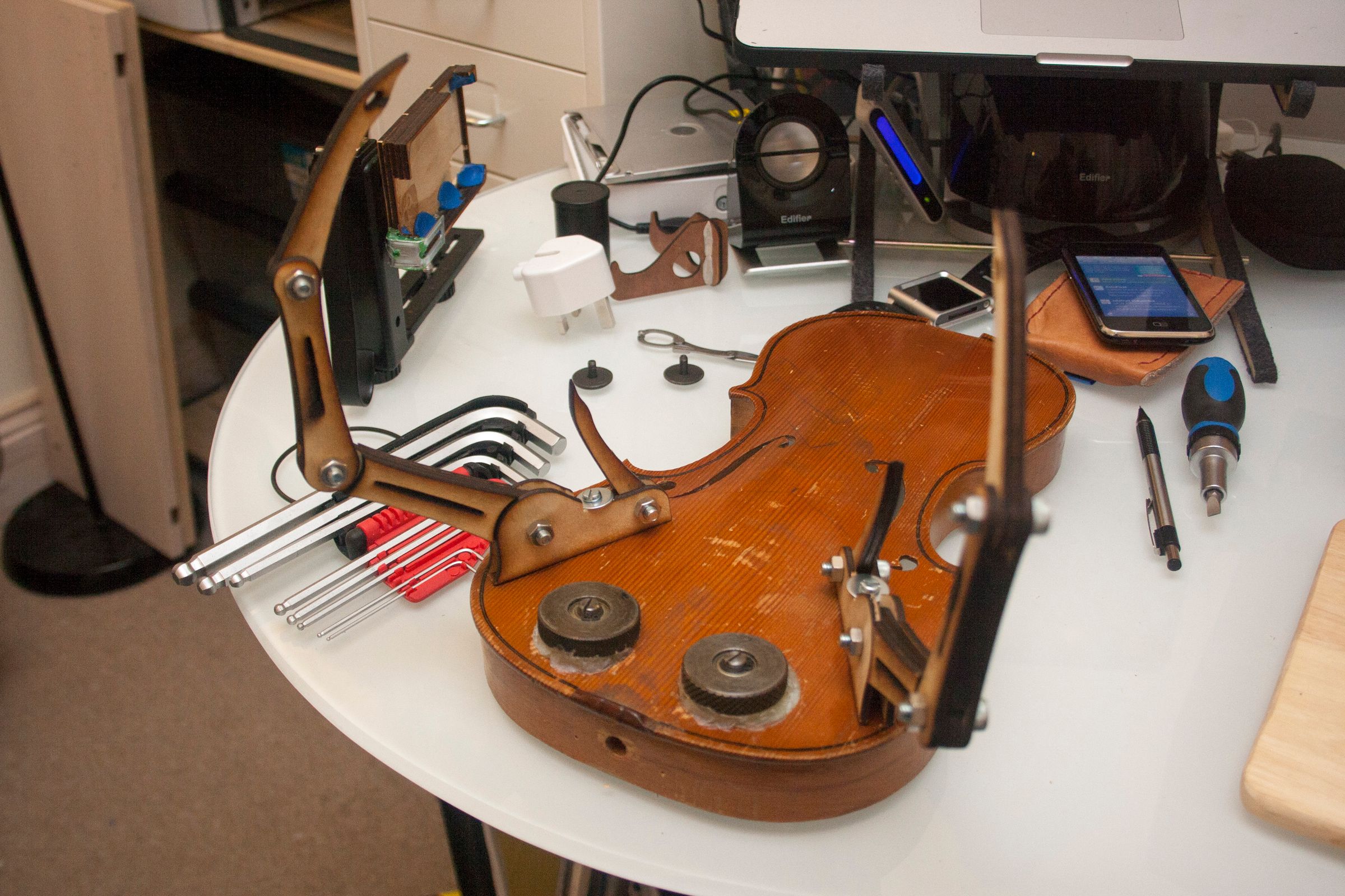 ViolinBeetle22.jpg