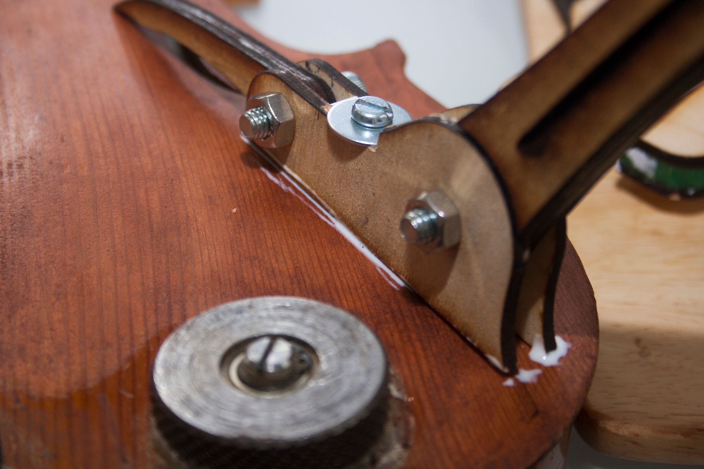 ViolinBeetle24.jpg