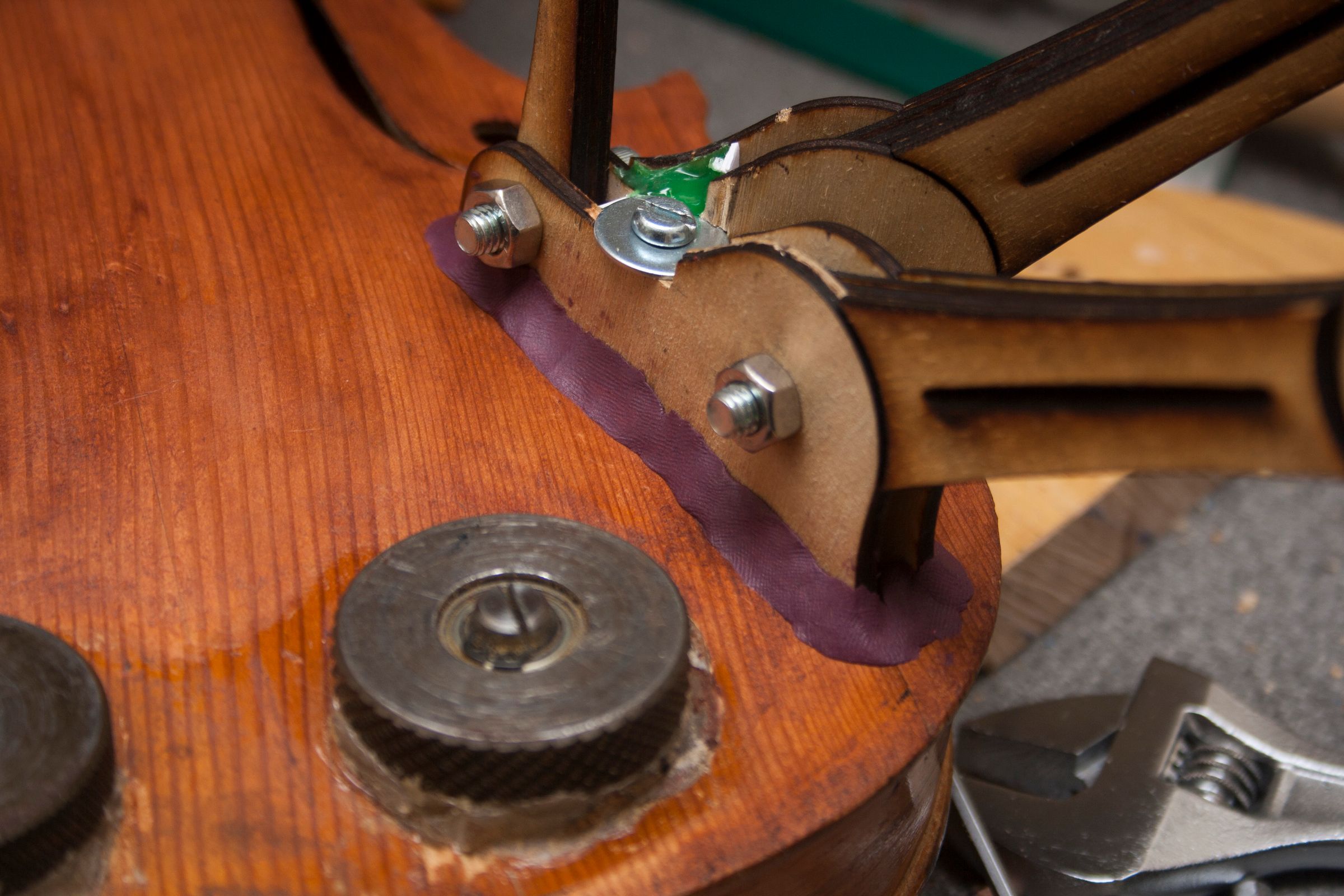 ViolinBeetle34.jpg