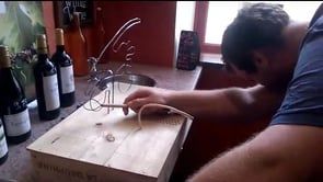 WP_20160715_001.mp4