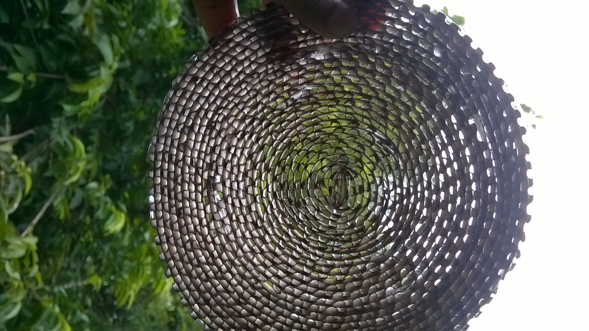 WP_20190821_006.jpg