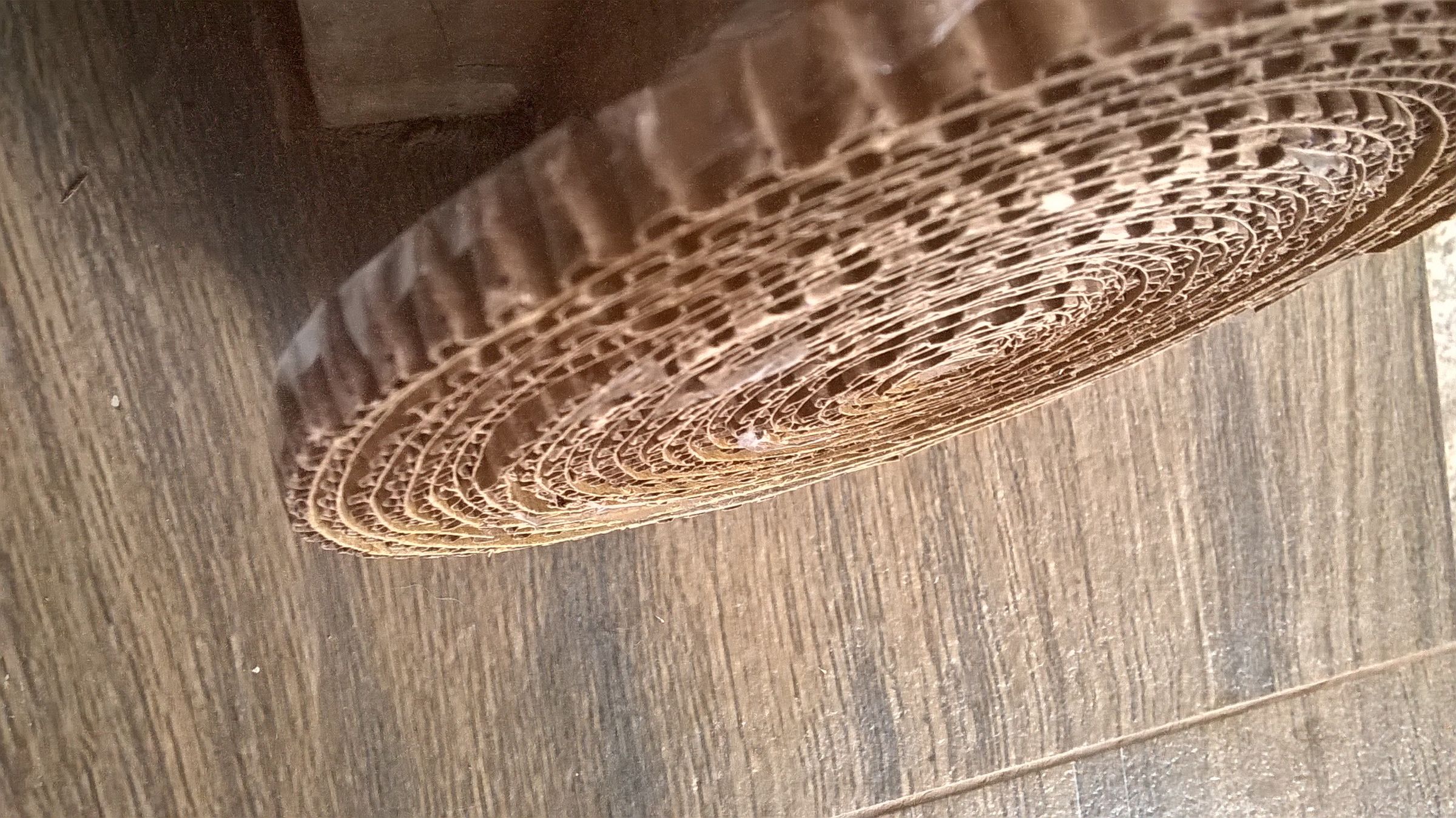 WP_20190821_007.jpg