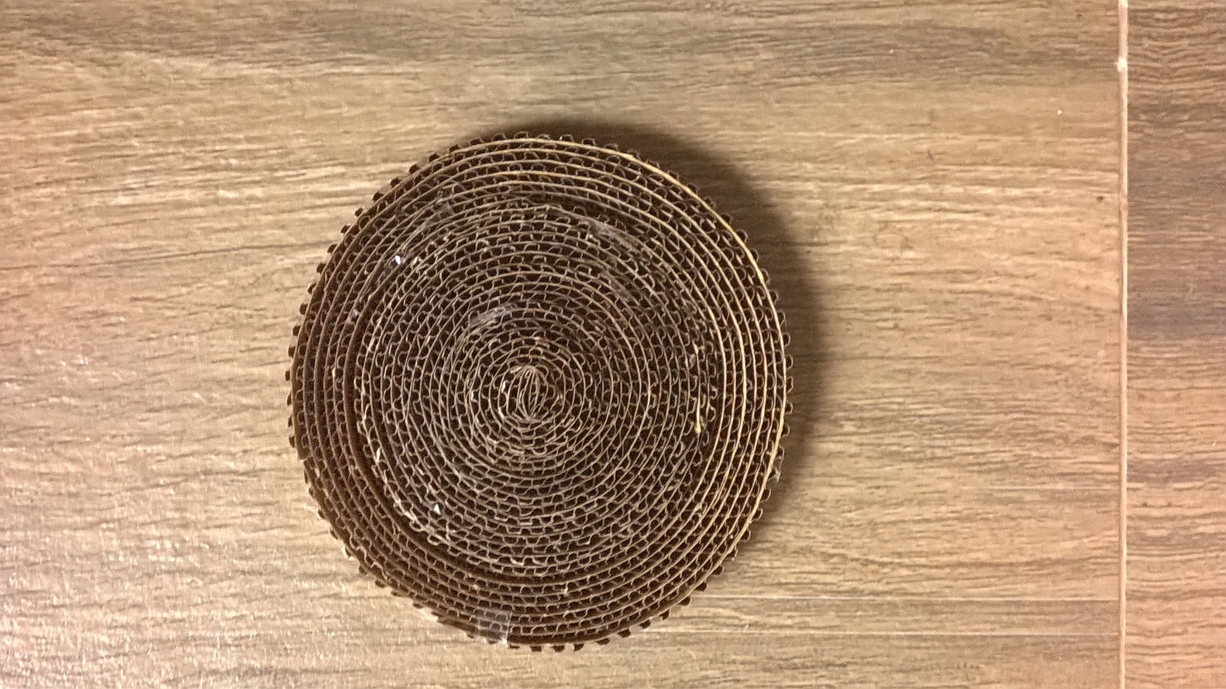 WP_20190821_009.jpg