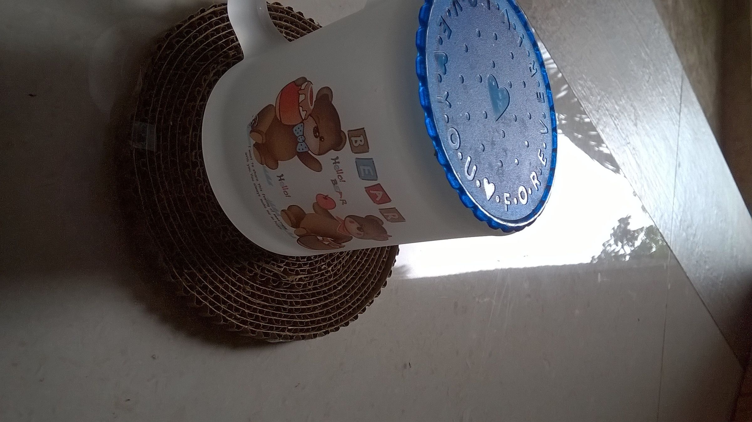 WP_20190821_010.jpg