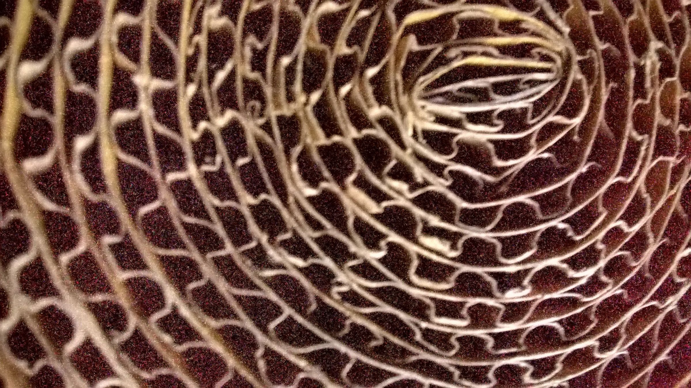 WP_20190823_003.jpg