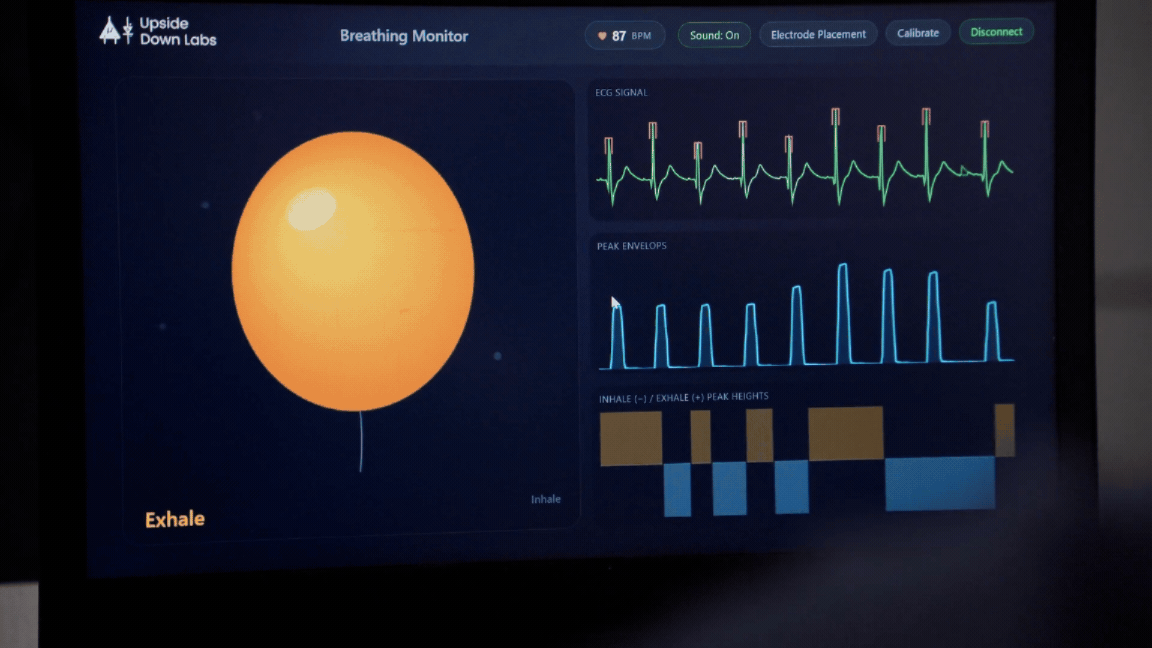 Web interface.gif