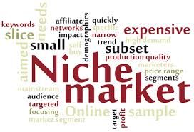 What is Niche marketing and how it is works.jpg