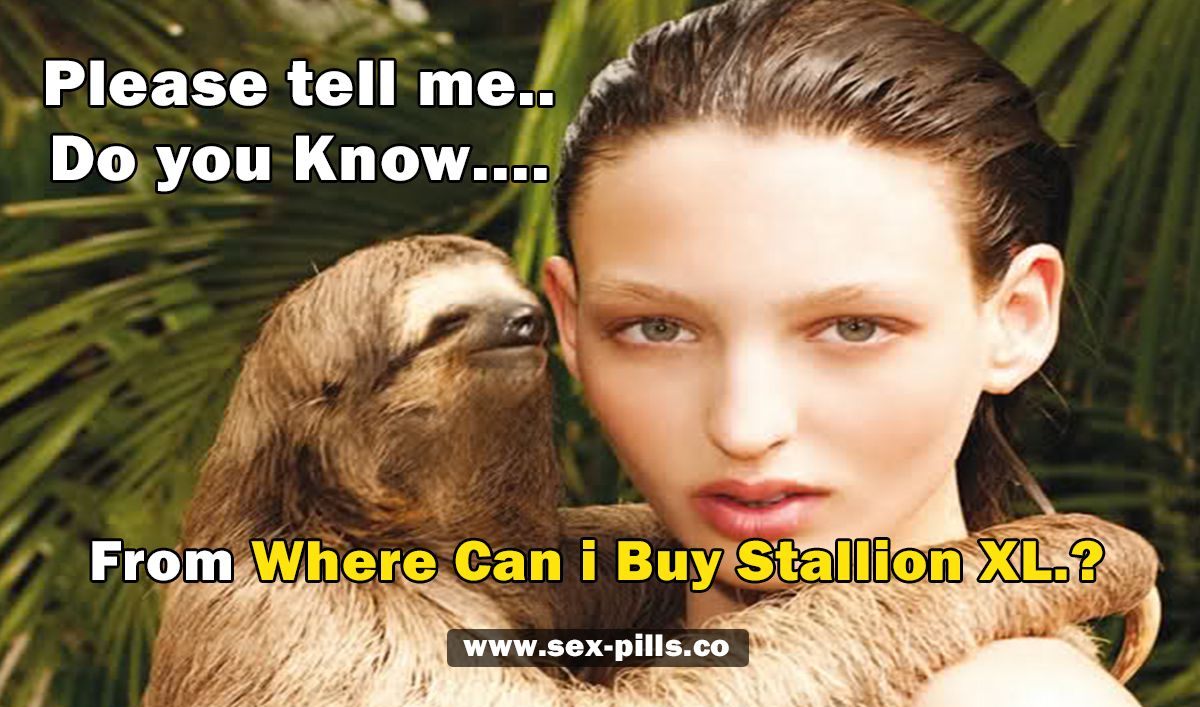 Where Can I Buy Stallion XL.jpg