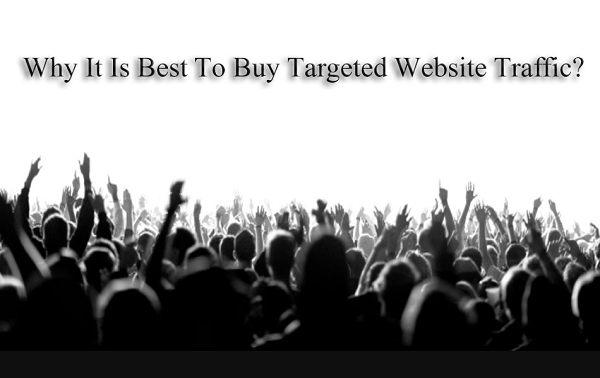 Why it is Important to Get Targeted Traffic for your Online Business.png