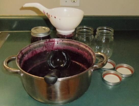 Wild Blue Berry Jam 12.JPG
