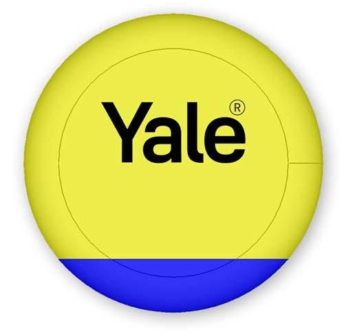 Yale3D.jpg