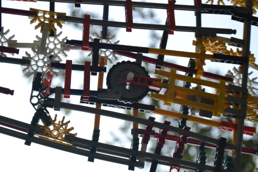 _DSC0784.JPG