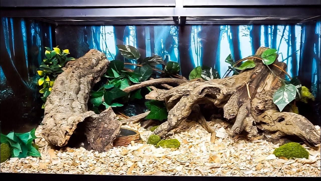 a cage.jpg
