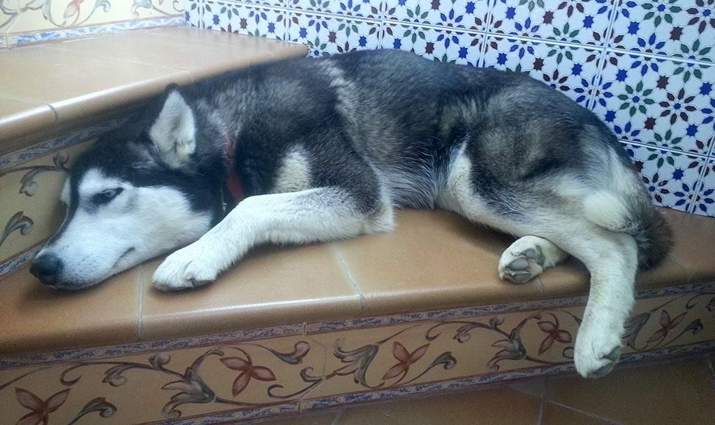 aburrida_01.jpg