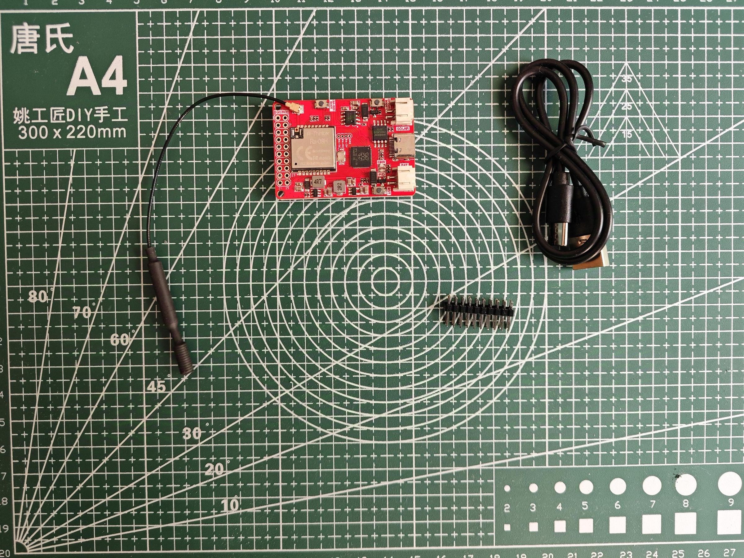 assembly_lora_6.jpg