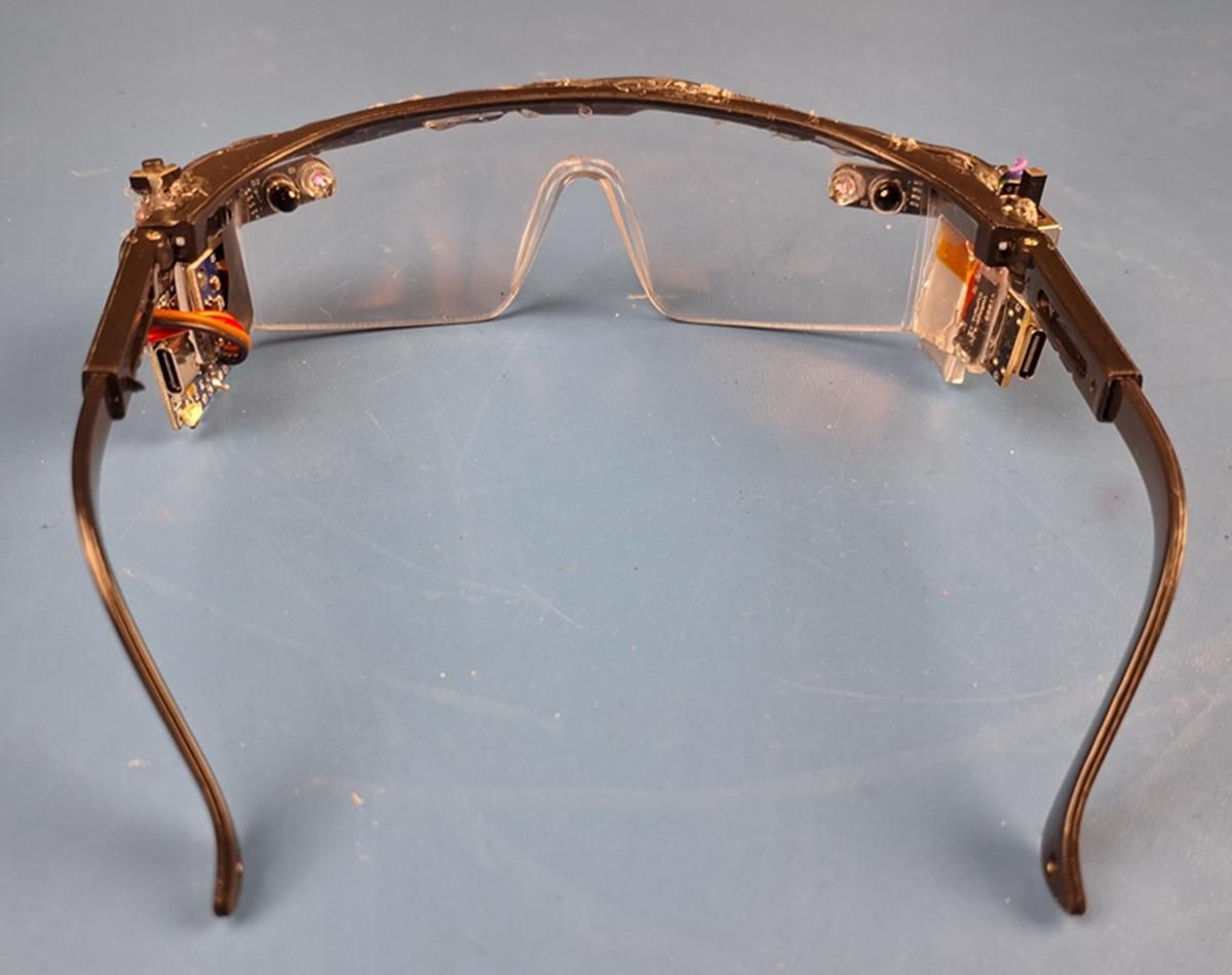 back view of glasses.jpg