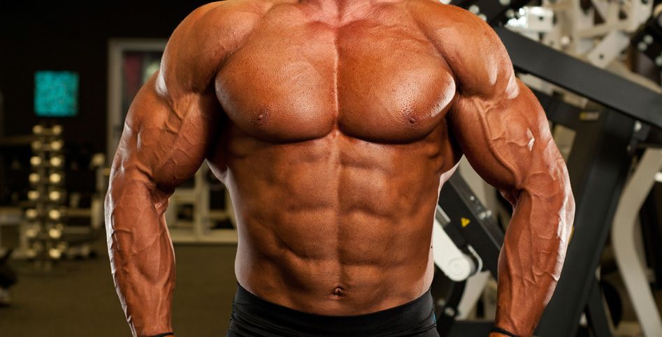 basic-bodybuilding-tips-and-guide.jpg