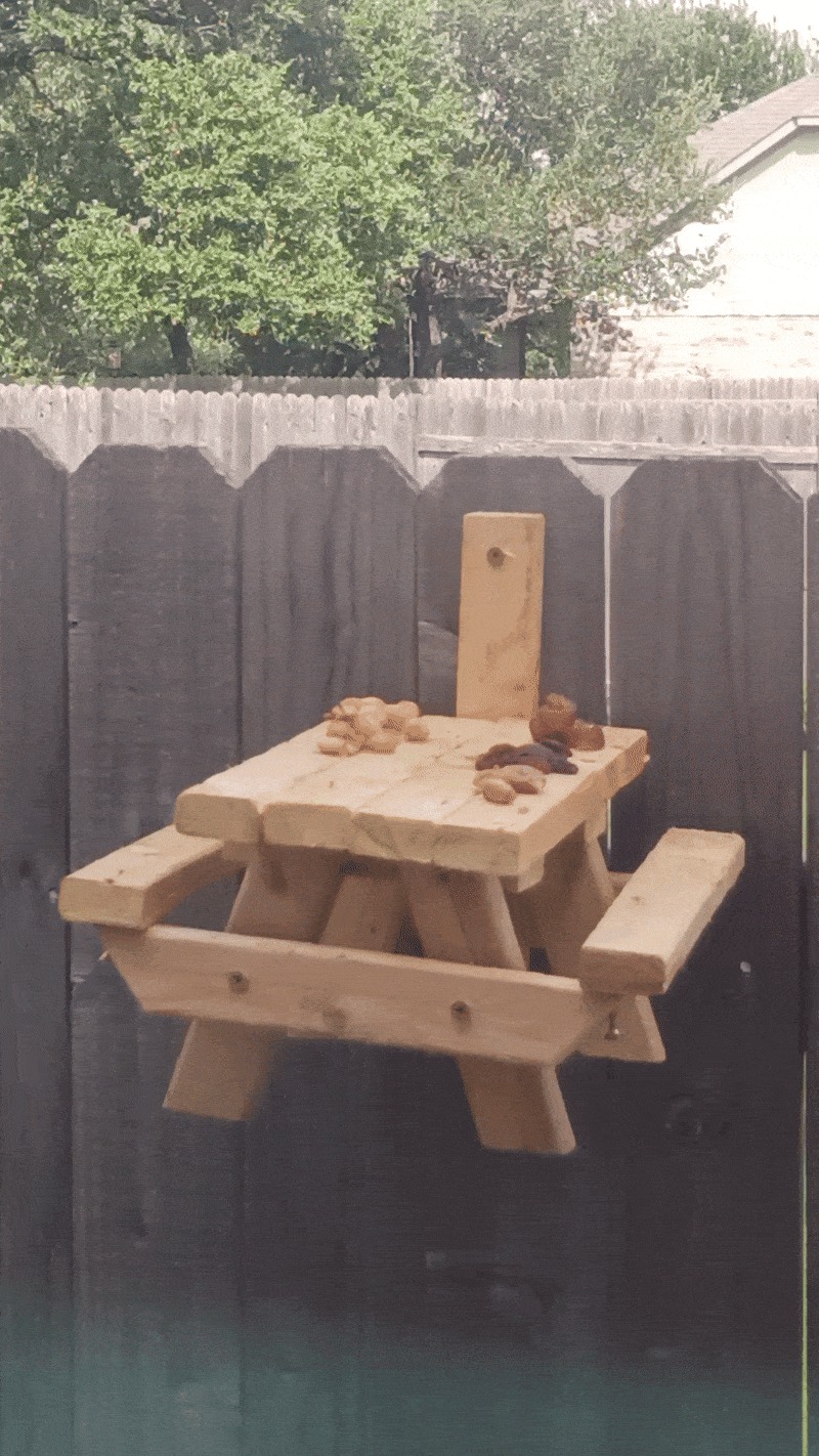 benchbird1.gif