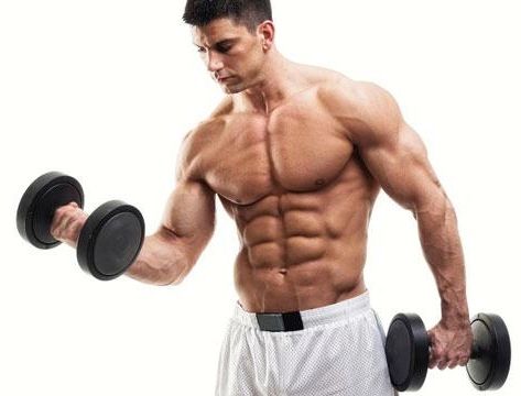 bodybuilding-training-program1.jpg