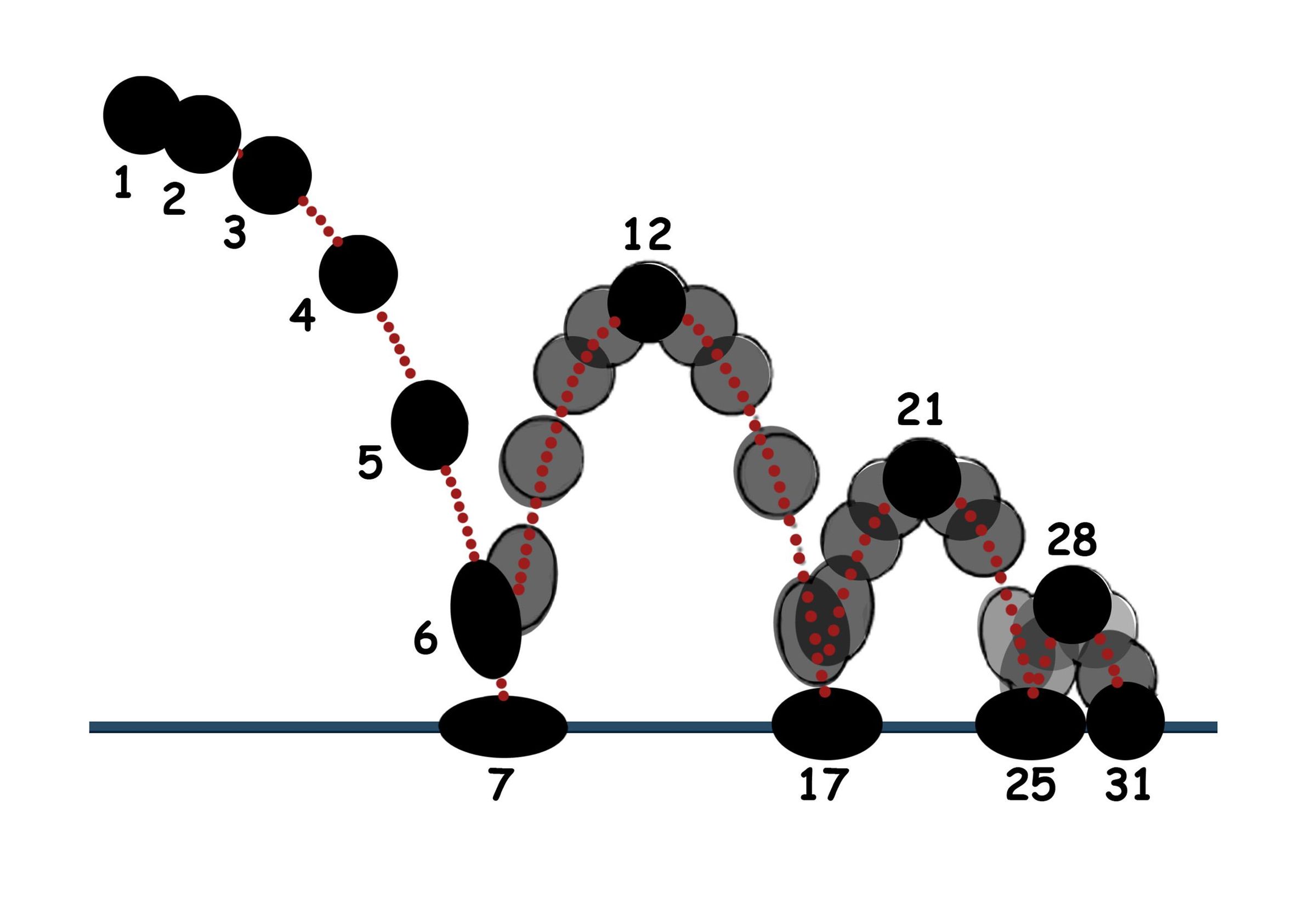 bouncing_ball.jpg