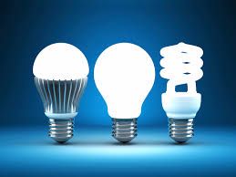 bulbs.jpg