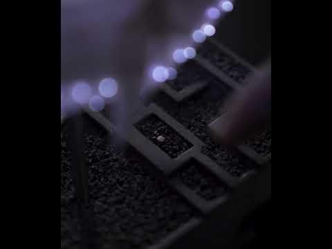 button shuffle
