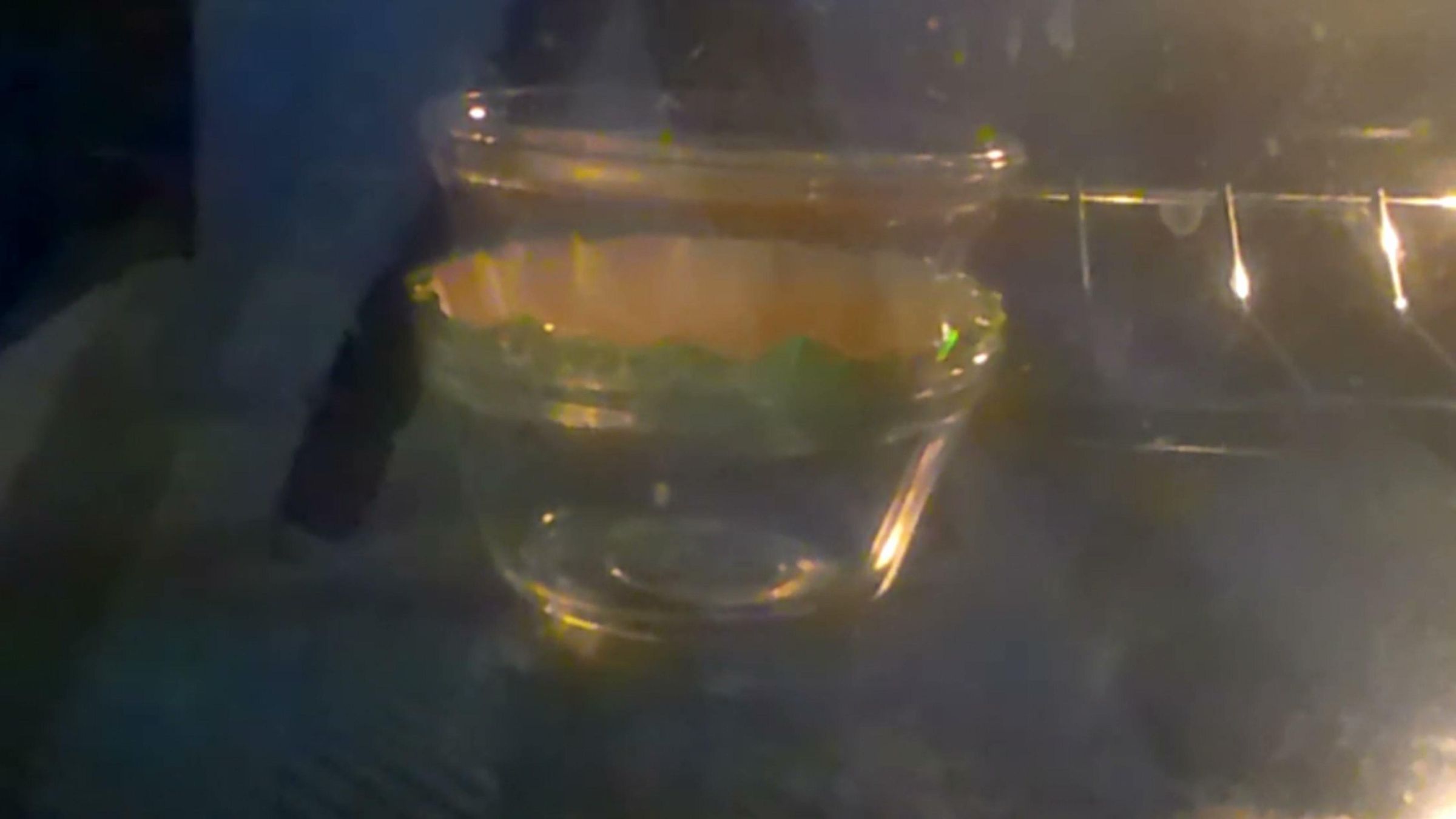 cd bowls_Moment 15.jpg