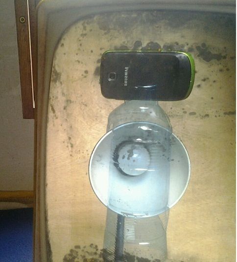 cell1.jpg